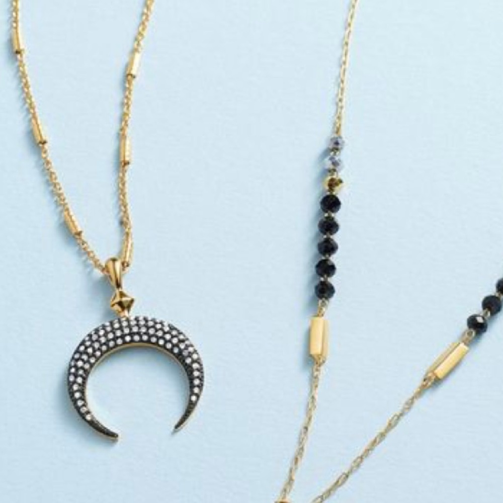 Stella Dot Double Horn Pendant